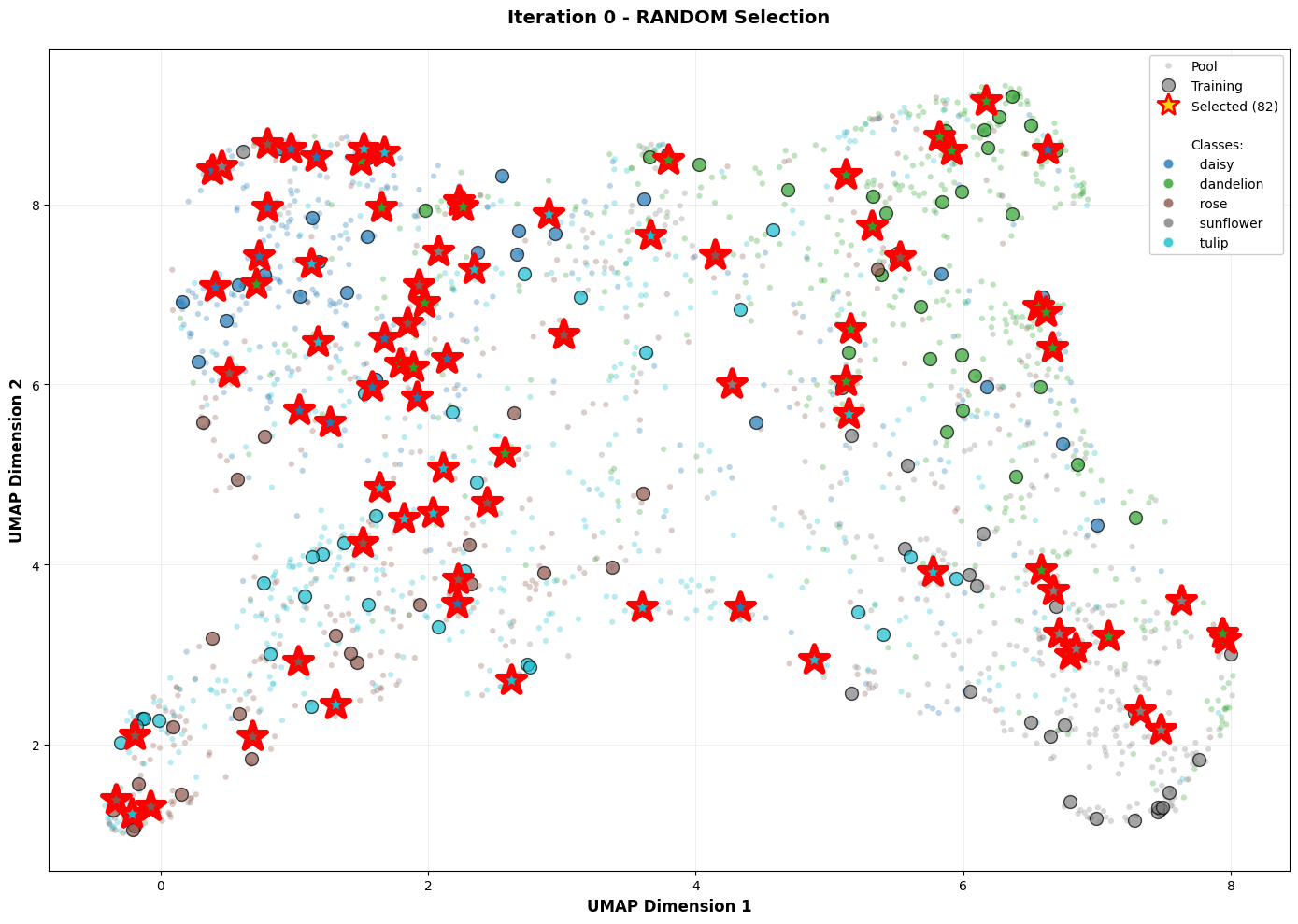 Embeddings of flower images samples in 2D.