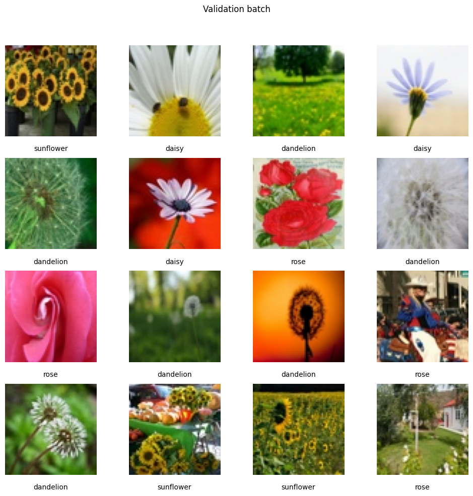 A validation batch of flower images.